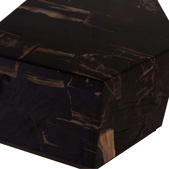 Rayn Versteend hout zwarte salontafel M
