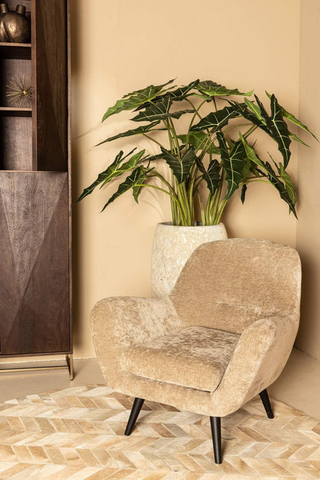 Donny Cream fauteuil zwarte houten poten