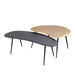 Blaze Black gegoten aluminium salontafel set van 2