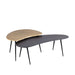 Blaze Black gegoten aluminium salontafel set van 2