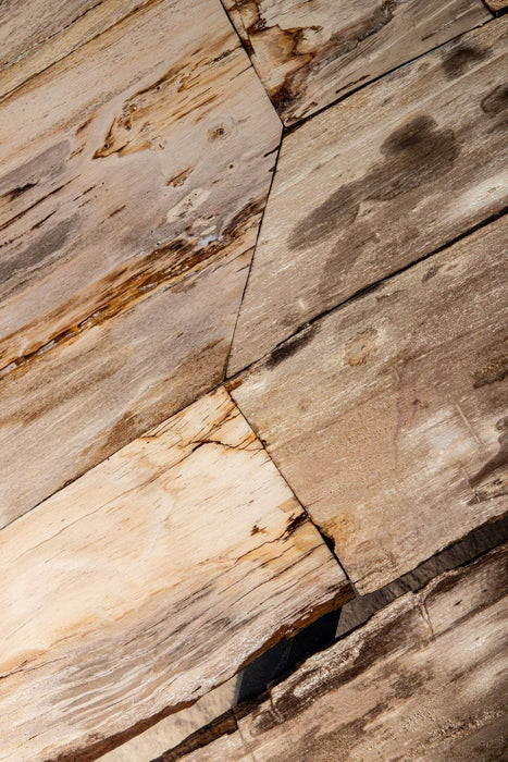 Deeba salontafel versteend hout 95cm