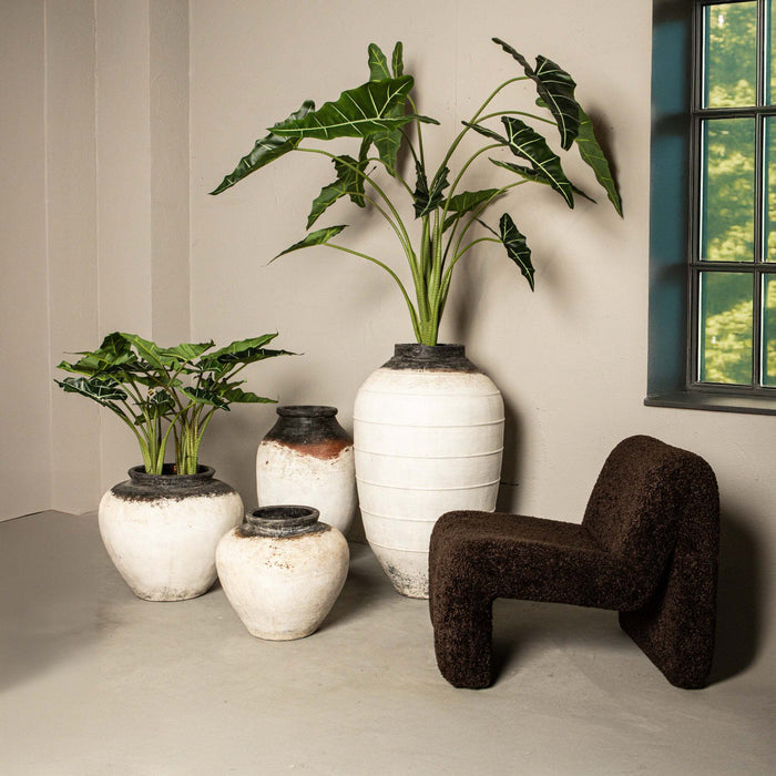 Oslo fauteuil Koffie Teddy