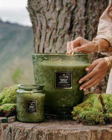 Temple Moss