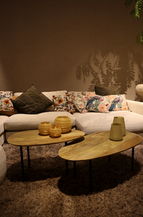 Oxil Salontafel set van 2