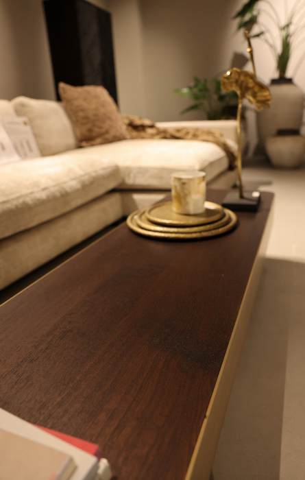 Warren Salontafel bruin hout goud