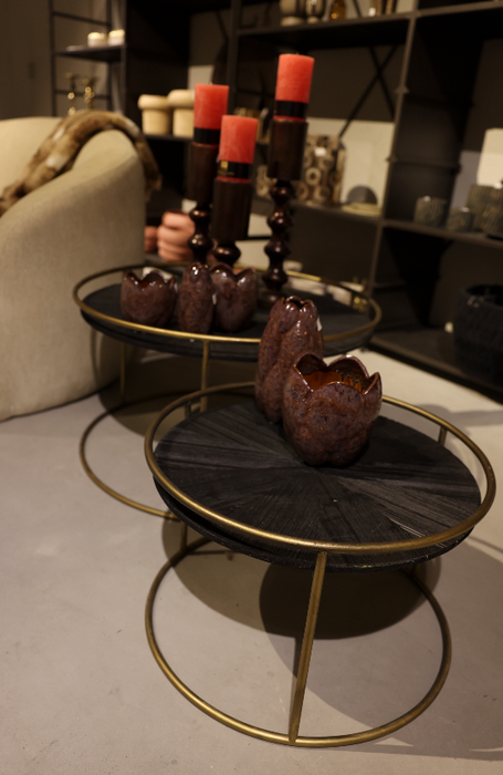 Carry Black Wood salontafel rond goud frame - Set van 2